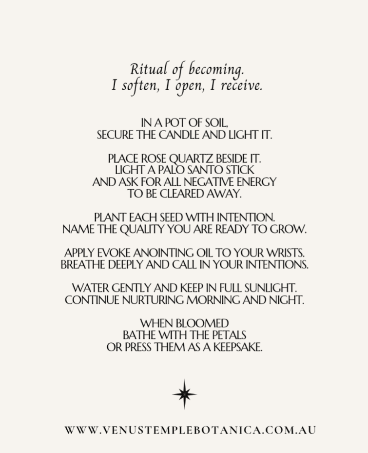 Bloom ~ Ritual of Becoming